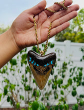 Load image into Gallery viewer, 3 13/16 Fossilized Megalodon Shark Tooth Pendant with Turquoise & Pyrite Inlay
