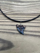Load image into Gallery viewer, Fossil Hemipristis Shark Necklace Right Tip