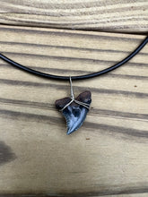 Load image into Gallery viewer, Fossil Hemipristis Shark Necklace Right Tip