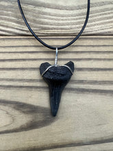 Load image into Gallery viewer, 1 11/16 Inch Fossil Mako Shark Tooth Necklace