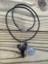 Load image into Gallery viewer, 1 11/16 Inch Fossil Mako Shark Tooth Necklace