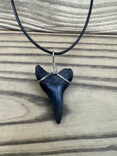 Load image into Gallery viewer, 1 11/16 Inch Fossil Mako Shark Tooth Necklace