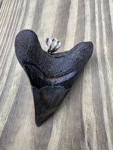Load image into Gallery viewer, 2 5/8 Inch Turquoise Gemstone Inlayed Megalodon Shark Tooth Pendant