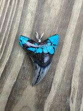 Load image into Gallery viewer, 2 3/8 Inch Turquoise Gemstone Inlayed Parotodus Benedeni Shark Tooth Pendant