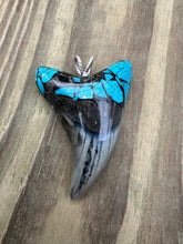 Load image into Gallery viewer, 2 3/8 Inch Turquoise Gemstone Inlayed Parotodus Benedeni Shark Tooth Pendant
