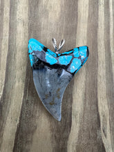 Load image into Gallery viewer, 2 3/8 Inch Turquoise Gemstone Inlayed Parotodus Benedeni Shark Tooth Pendant