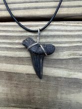 Load image into Gallery viewer, 1 11/16 Inch Authentic Fossil Mako Shark Necklace
