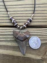 Load image into Gallery viewer, 2 inch Fossil Angustiden Shark Tooth Necklace With Brown and White Beads