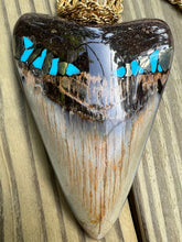 Load image into Gallery viewer, 3 13/16 Fossilized Megalodon Shark Tooth Pendant with Turquoise & Pyrite Inlay