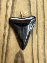 Load image into Gallery viewer, 2 1/16 Inch Polished Great White Shark Tooth Pendant