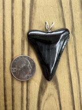 Load image into Gallery viewer, 2 1/16 Inch Polished Great White Shark Tooth Pendant