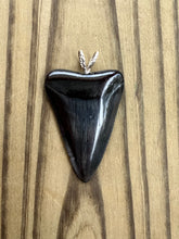 Load image into Gallery viewer, 2 Inch Polished Great White Shark Tooth Pendant