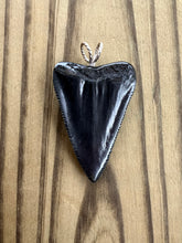 Load image into Gallery viewer, 2 Inch Polished Great White Shark Tooth Pendant