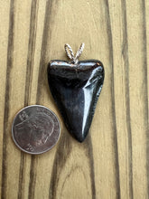 Load image into Gallery viewer, 1 11/16 Inch Polished Fossilized Great White Shark Tooth Pendant