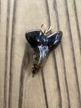Load image into Gallery viewer, 1 7/8 Inch Polished Hemipristis Shark Tooth Necklace