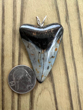 Load image into Gallery viewer, 2 1/16 Inch Polished Mako Shark Tooth Necklace