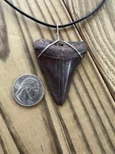 Load image into Gallery viewer, Fossilized 2 1/8 Inches Great White Shark Tooth Necklace