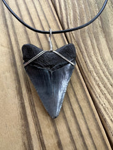Load image into Gallery viewer, Fossilized 2-1/16 Inch Megalodon Shark Tooth Necklace