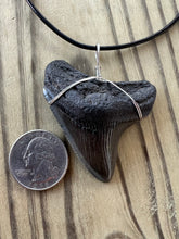Load image into Gallery viewer, Fossilized 2 1/8 Inch Megalodon Shark Tooth Necklace