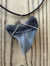 Load image into Gallery viewer, Fossilized 2 1/8 Inch Megalodon Shark Tooth Necklace