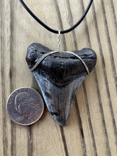 Load image into Gallery viewer, Large Fossil Megalodon Shark Tooth Necklace 2 1/4 Inch on Black Leather Cord