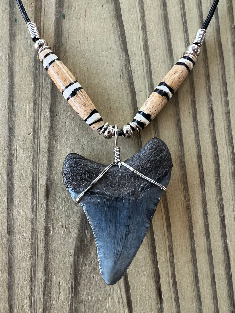 Real Shark Tooth Necklace