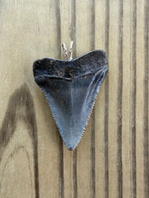 Load image into Gallery viewer, Polished Great White Shark Tooth Necklace Pendant - 1 15/16 Inch Fossil