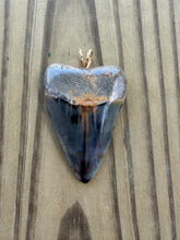 Load image into Gallery viewer, Polished Great White Shark Tooth Necklace Pendant - 2 3/16 Inch Fossil