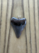 Load image into Gallery viewer, Polished Great White Shark Tooth Necklace Pendant - 1 9/16 Inch Fossil