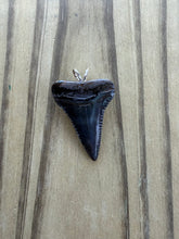 Load image into Gallery viewer, Authentic Great White Shark Tooth Pendant Necklace - 1 5/16" Fossil