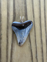 Load image into Gallery viewer, Polished Great White Shark Tooth Necklace Pendant - 1 3/4 Inch Fossil