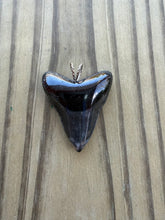 Load image into Gallery viewer, Polished Great White Shark Tooth Necklace Pendant - 1 5/8 Inch Fossil