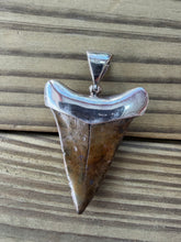 Load image into Gallery viewer, 2 1/16 Inch Fossilized Mako Shark Tooth Pendant | Sterling Silver Bezel