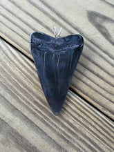Load image into Gallery viewer, 2 3/4 Inch Fossilized Mako Shark Tooth Pendant | Handmade in USA