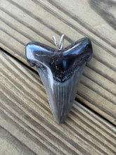 Load image into Gallery viewer, 2 5/16 Inch Fossilized Angustiden Shark Tooth Pendant | Handmade in USA