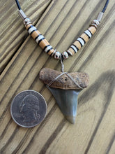 Load image into Gallery viewer, Fossil Mako Shark Tooth Necklace with Tan Root and Gray Blade 1 5/8 Inch