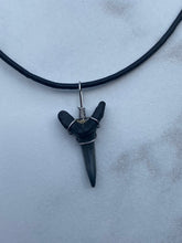 Load image into Gallery viewer, Plain Sandshark Tooth Necklace