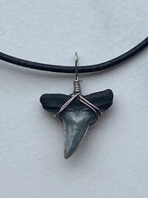 Load image into Gallery viewer, Plain Shark Tooth Necklace