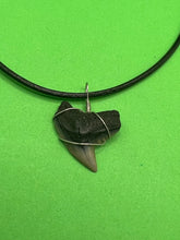 Load image into Gallery viewer, Plain Fossilized Tiger Shark Tooth Necklace - Right Tip