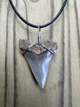 Load image into Gallery viewer, 1 5/8 inch Fossilized Angustiden Shark Tooth Necklace

