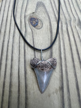 Load image into Gallery viewer, 1 5/8 inch Fossilized Angustiden Shark Tooth Necklace
