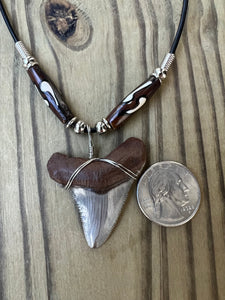 1 3/4 Inch Fossilized Angustiden Shark Tooth Necklace featuring Brown and White Bone Beads