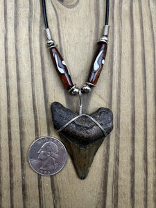 2 inch Fossilized Megalodon Shark Tooth Necklace With Brown and White Bone Beads