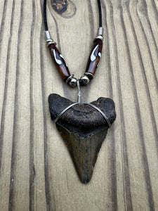 2 inch Fossilized Megalodon Shark Tooth Necklace With Brown and White Bone Beads