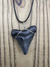 Load image into Gallery viewer, 1 15/16 inch Fossilized Megalodon Shark Tooth Necklace Plain Cord
