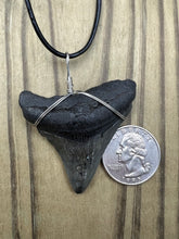 Load image into Gallery viewer, 1 15/16 inch Fossilized Megalodon Shark Tooth Necklace Plain Cord
