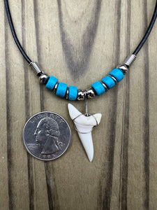 White Shark Tooth Necklace With 3 Turquoise Bead Design