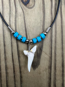 White Shark Tooth Necklace With 3 Turquoise Bead Design