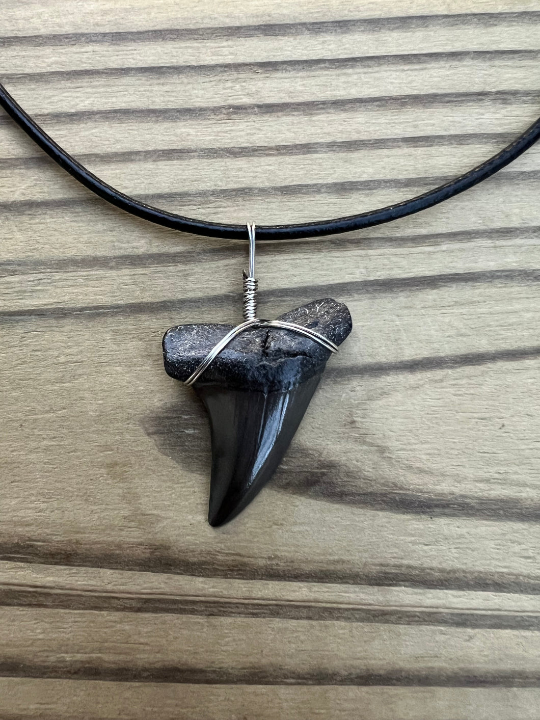 1 1/2 Inch Fossilized Mako Shark Tooth Necklace