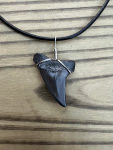 1 1/2 Inch Fossilized Mako Shark Tooth Necklace
